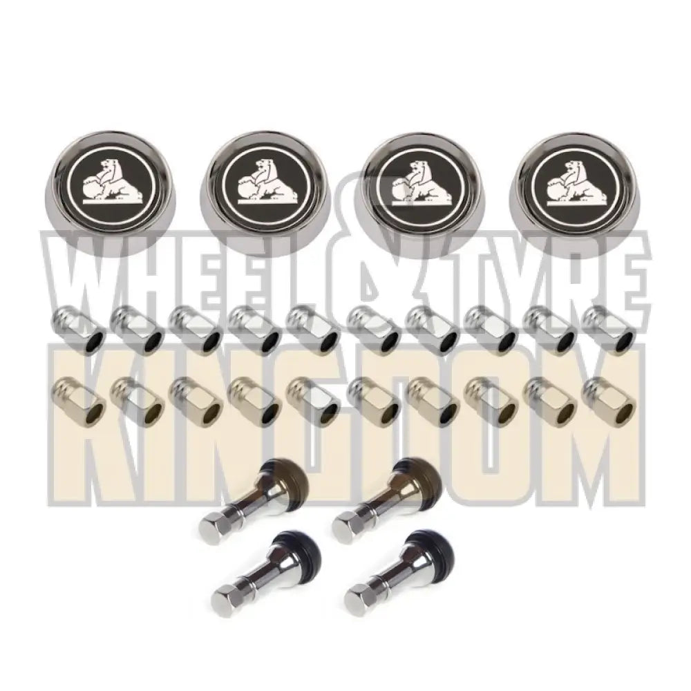 GTS WHEEL KIT - CAPS & NUTS