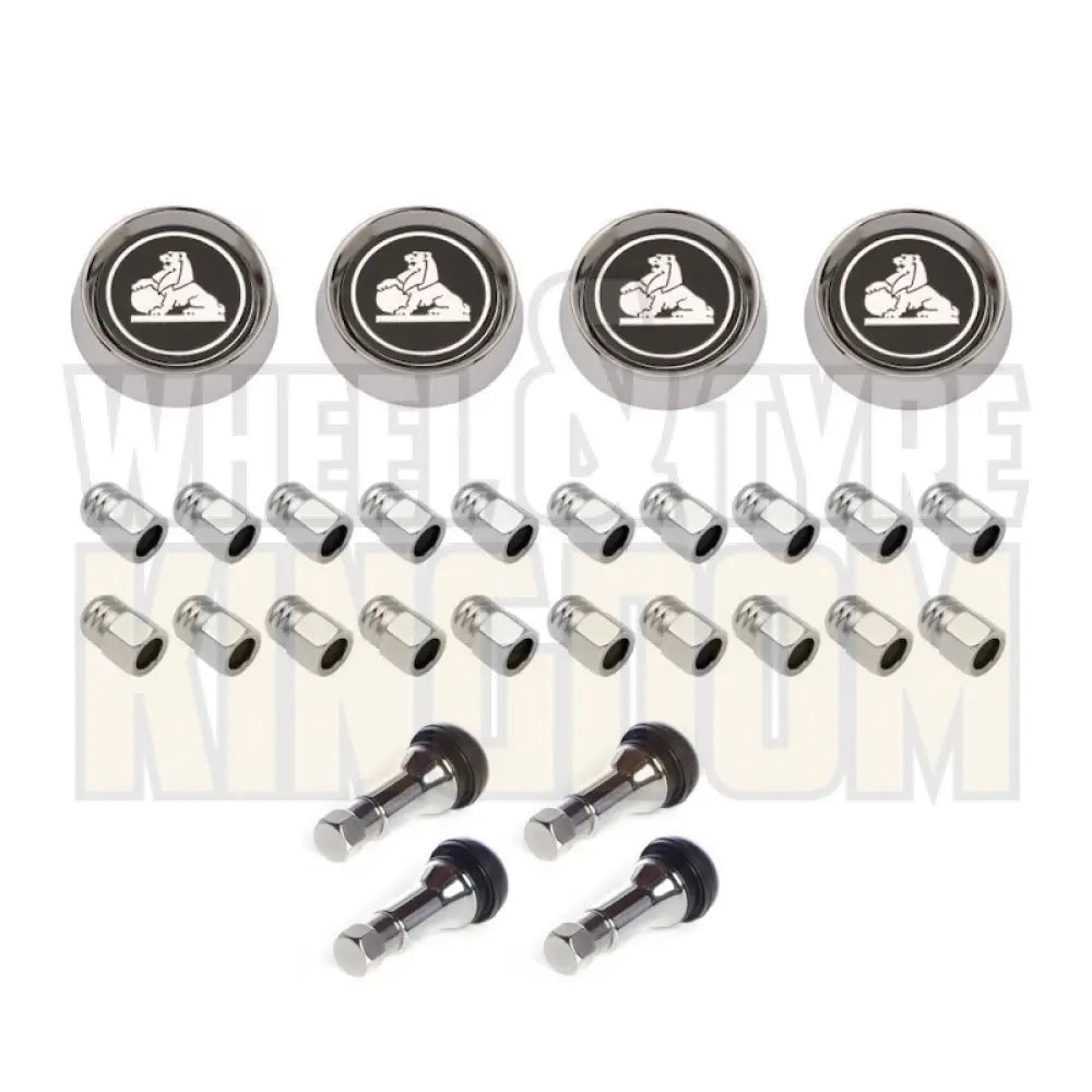 GTS WHEEL KIT - CAPS & NUTS