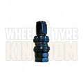 TR33 - Anodized Black - Clamp-In Valve