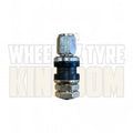 TR33 - Stainless Finish - Clamp-In Valve