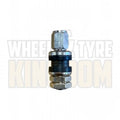 TR33 - Stainless Finish - Clamp-In Valve