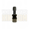 TR43 - Stainless Finish - Clamp-In Valve